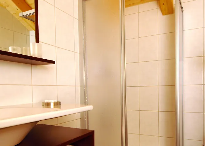 Hotel Viktoria-Leukerbad-Therme 3*